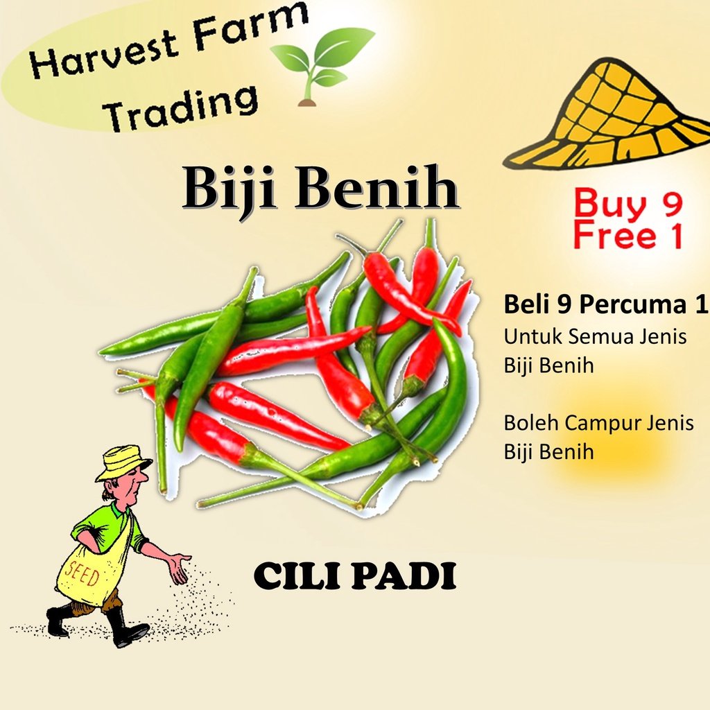 Biji Benih Cili Api 25 Biji Vegetable Seed Chili seeds 大小辣椒种子蔬菜種子 Plant padi kampung besar pedas kangkung pokok sayuran