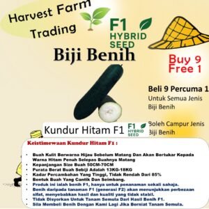 Biji Benih Kundur Hitam F1 5Pcs+- black winter melon seed vegetable seeds fruit seed 黑皮冬瓜种子 蔬菜种子