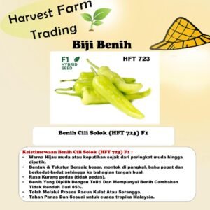 Biji Benih Cili Solok 25Pcs+- F1 hft 723 chili seed 辣椒种子