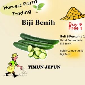 Biji Benih Timun Jepun 10 Biji Vegetable Seed CucumberJepun 日本黄瓜种子 Family Seeds Plant Seed