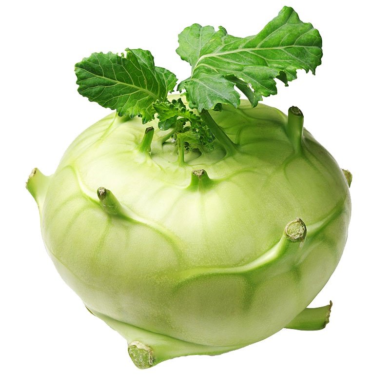 Biji Benih Lobak Hijau 20 Pcs +- German turnip seeds vegetables benih sayur sayuran 大头菜種子 蔬菜種子 benih kohlrabi hijau vege - Image 5