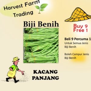 Biji Benih Kacang Panjang Hijau 10 pcs +- long bean seeds yardlong beans snake bean seeds 长豆种子长角豆种子