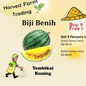 Biji Benih Tembikai Kuning 5 Biji Vegetable Seed watermelon西瓜种子 Family Seeds Plant Seed