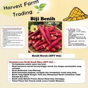 Biji Benih Kacang Bendi Merah 200Gram 5 Bintang HFT 762 Red Okra Seeds 红秋葵种子五角星红秋葵种子 200克