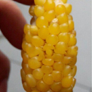 14Pcs Seed Mini Pineapple Corn Benih Jagung Nanas 迷你黄梨形玉米种子 vegetable seeds benih jagung mini vegetables corn seeds 小玉米 - Image 3