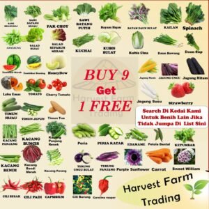 biji benih sayur sayuran pelbagai bunga vegetable seed bibit anak pokok buah 蔬菜種子花种子 Baja daun sup flower seeds kangkung