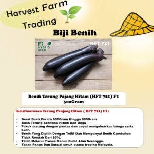 Benih Terung Panjang Hitam F1 10Gram HFT 712 long egg plant seed 黑长茄子种子 biji benih terung panjang ungu hitam