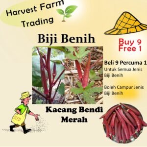 25Pcs +-Benih Bendi Merah 15pcs/Red Okra / 红羊角豆种子 benih bendi merah red okra seed lady finger vegetable seed benih sayur