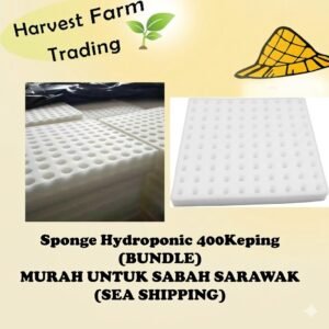 Hydroponic Sponge 400pcs BUNDLE rockwool Hidroponik sponge Span pot system pipe Germination seedling plant seeds benih