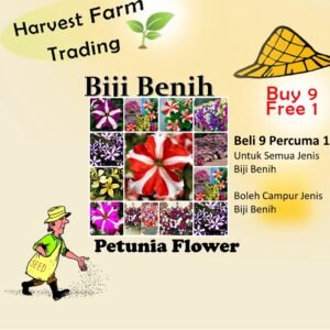 150Pcs +-Biji Benih Bunga Petunia campur Flower seeds Mix Petunia 花种子 混色矮牵牛花 Bunga Petunia Flower Seed petunia seed