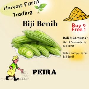 Biji Benih Peria 6 Biji Vegetable Seed Bitter Ground苦瓜种子  Family Seeds Plant See