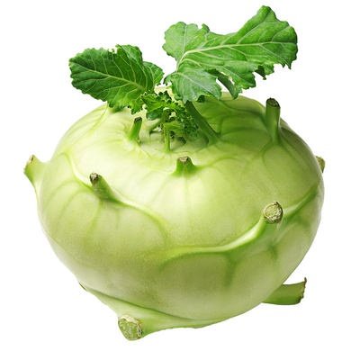 Biji Benih Lobak Hijau 20 Pcs +- German turnip seeds vegetables benih sayur sayuran 大头菜種子 蔬菜種子 benih kohlrabi hijau vege - Image 8