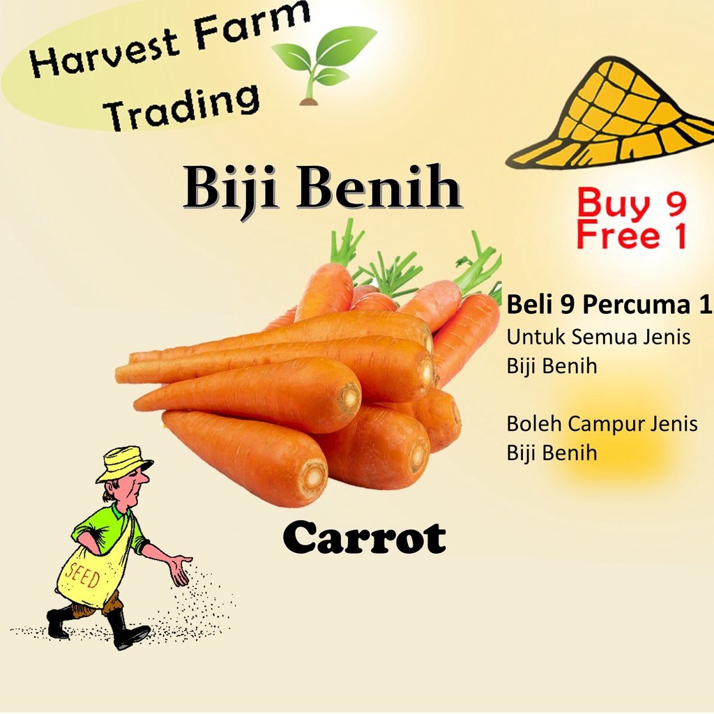 Biji Benih Lobak Merah 250pcs 蔬菜种子红萝卜種子菜籽 red carrot seed Raddish seeds kangkung sayur sayuran hijau pelbagai vegetables
